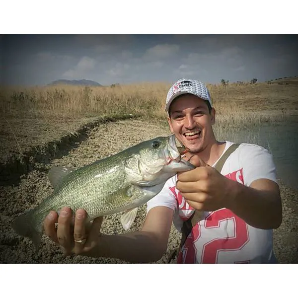 Giuseppe Torre (9).jpg