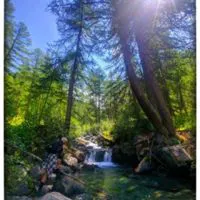 Cuignon3