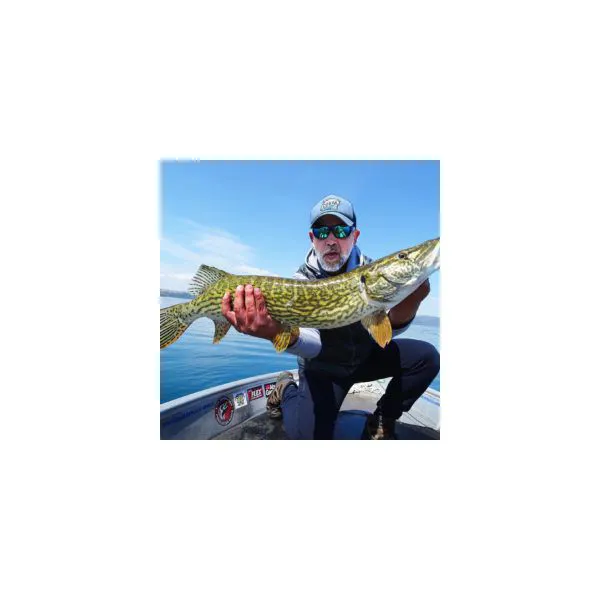 Rubino32