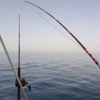 Casolino11