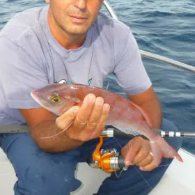 Casolino12