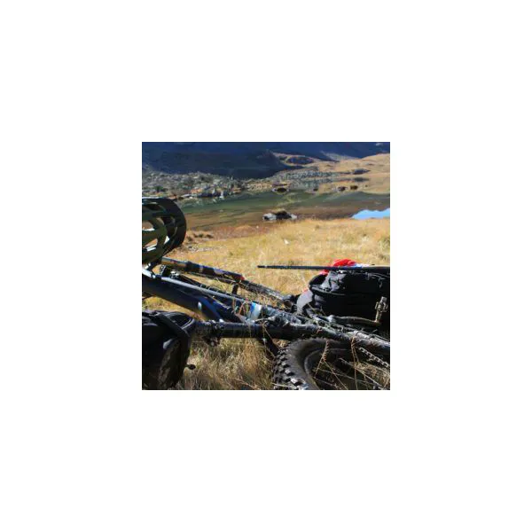 Panzeri4