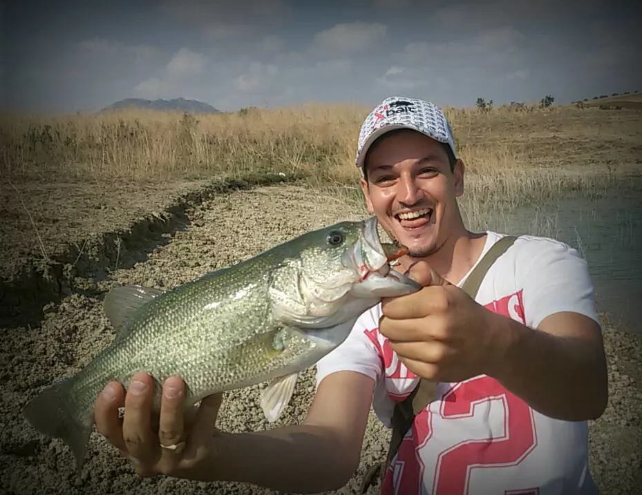 Giuseppe Torre (9).jpg