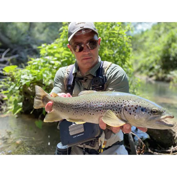 Roberto Giare 3.jpg