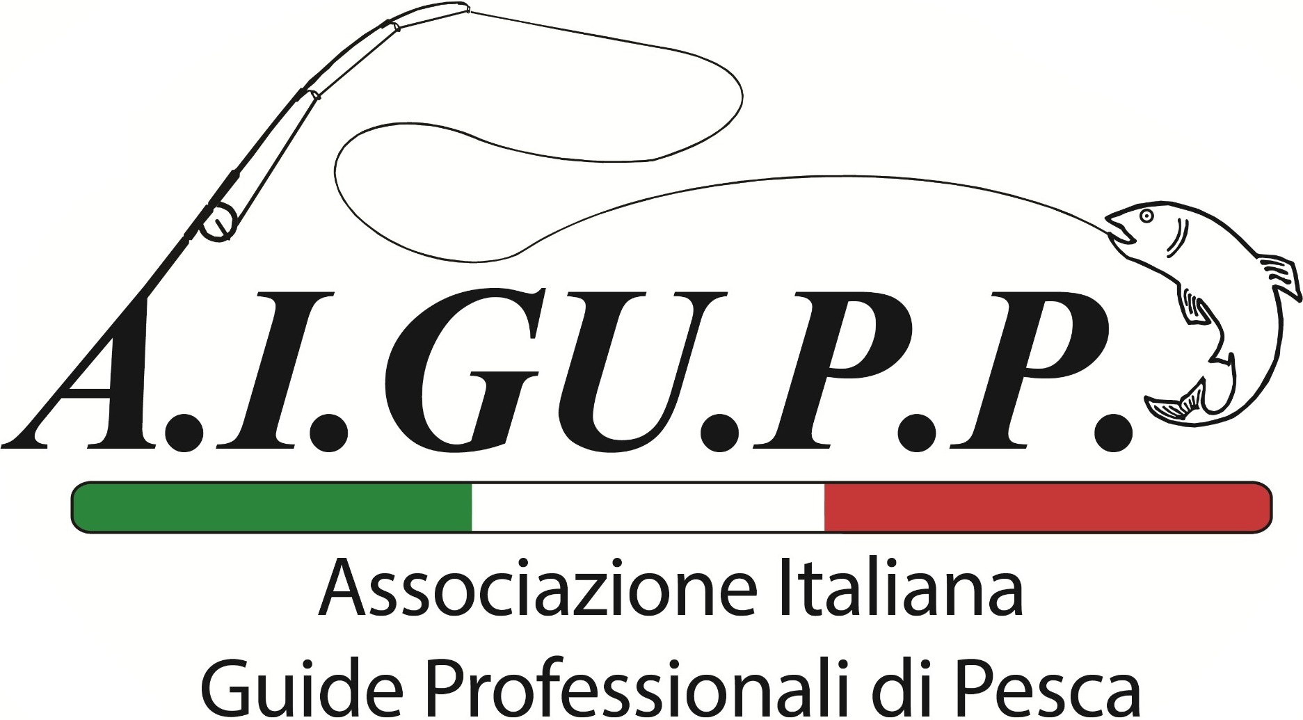 AIGUPP
