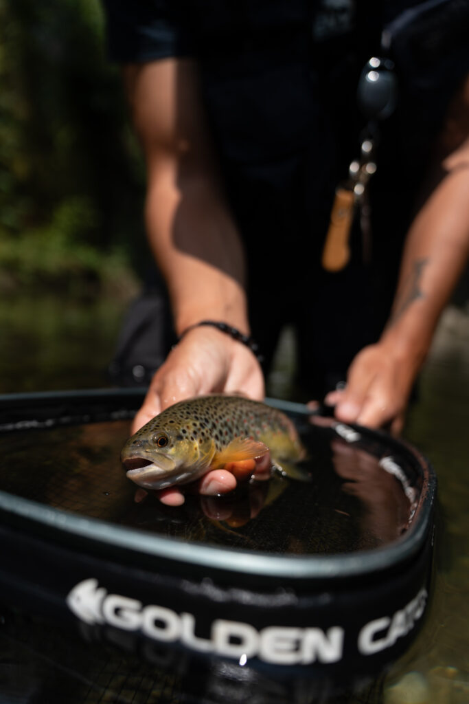 Davide Negretto — attività di guida di pesca