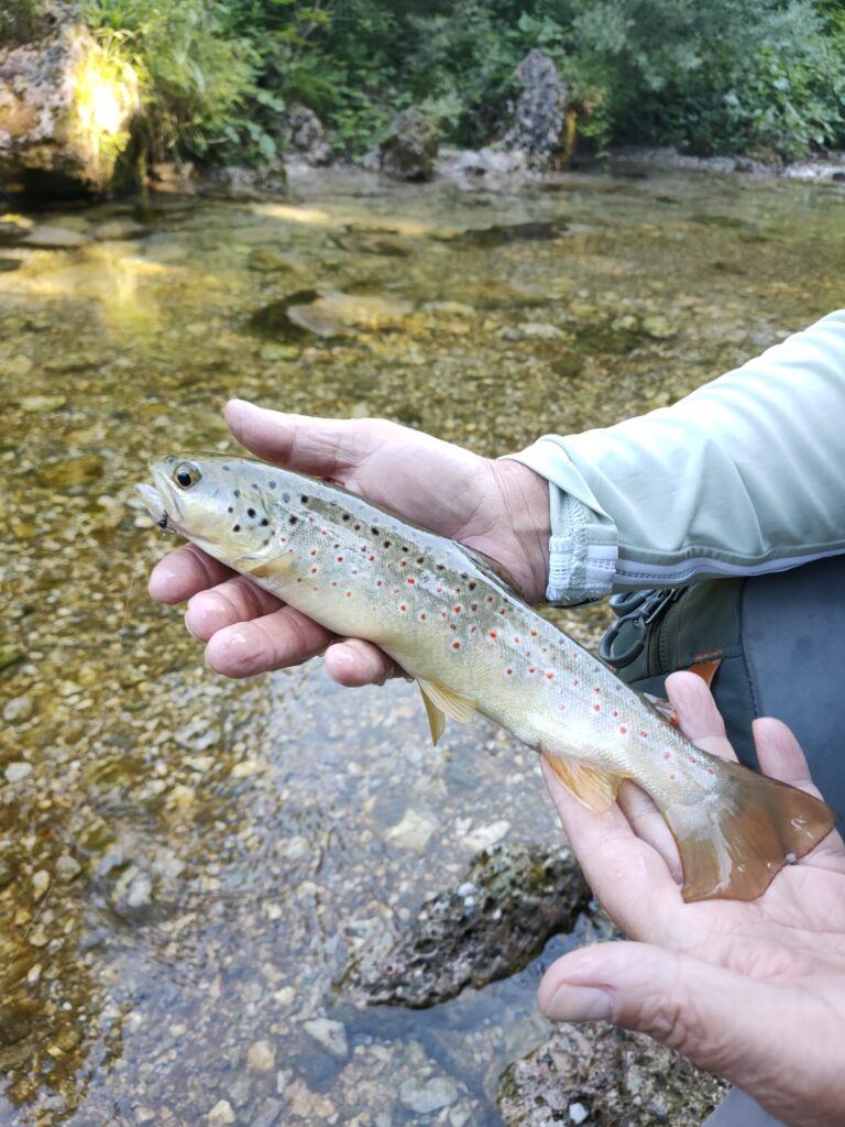 Stefano Castagna — attività di guida di pesca
