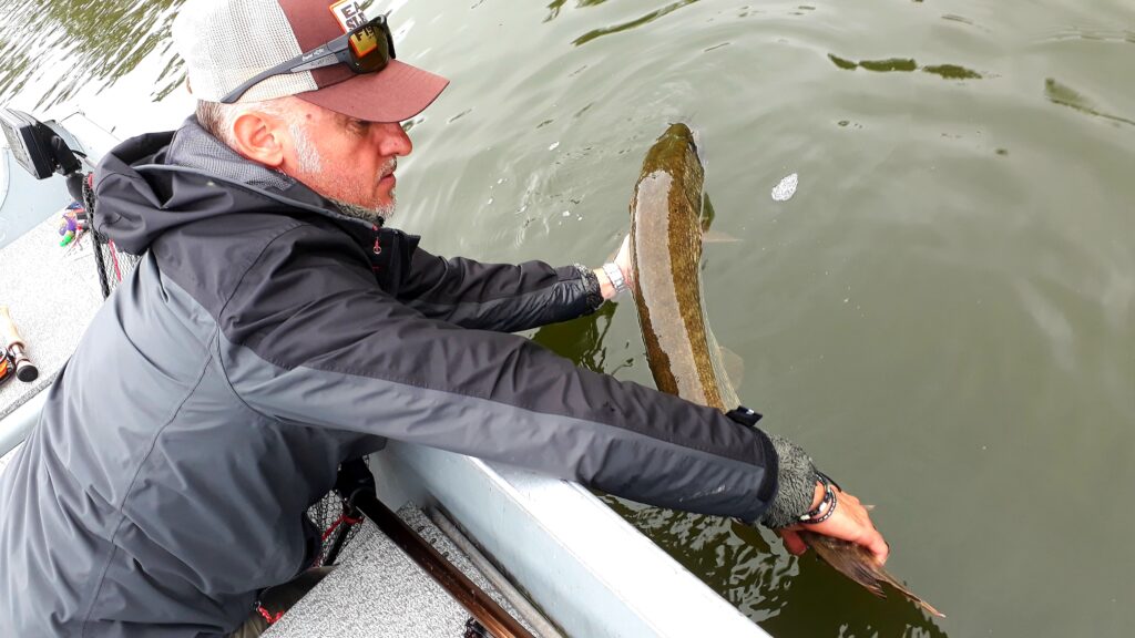 Francesco Gastaldi — attività di guida di pesca