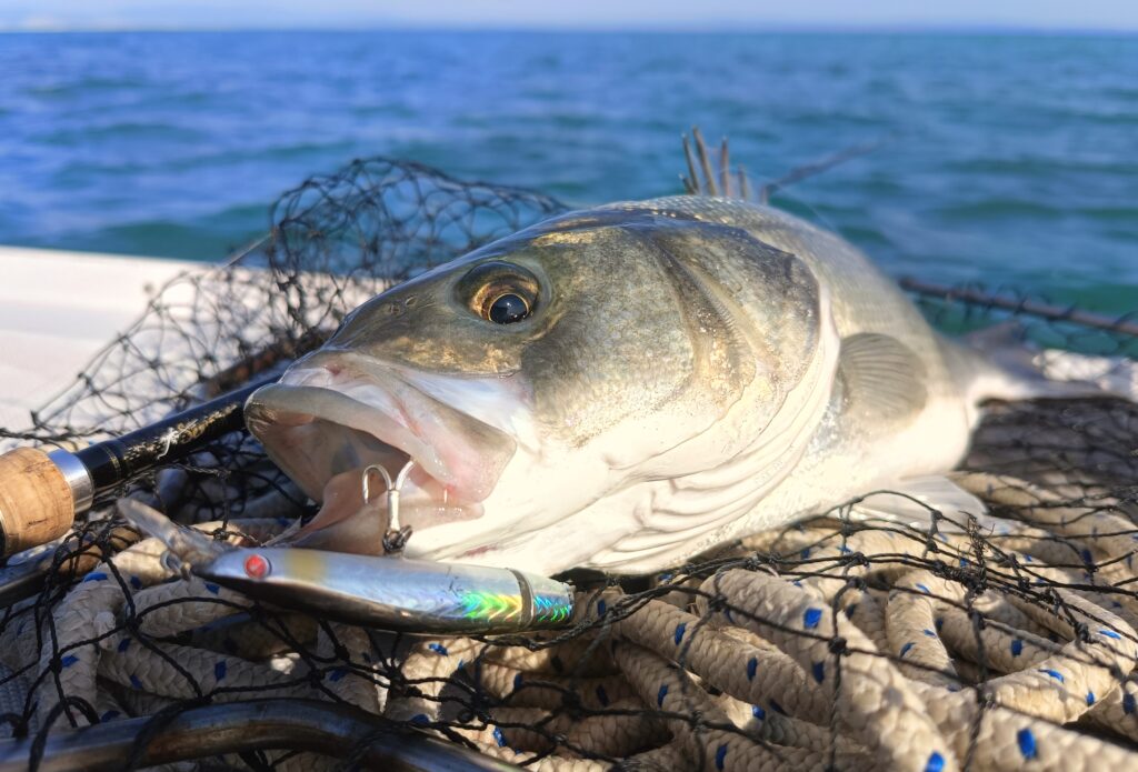 SABELE FIOROT — attività di guida di pesca