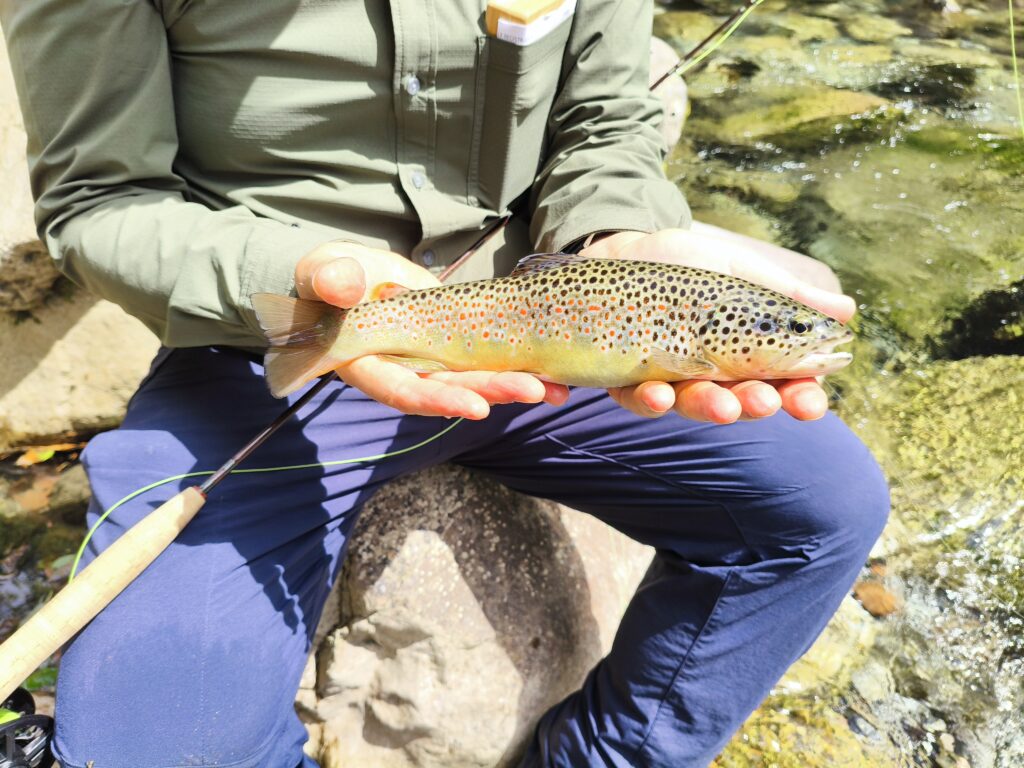 Stefano Castagna — attività di guida di pesca