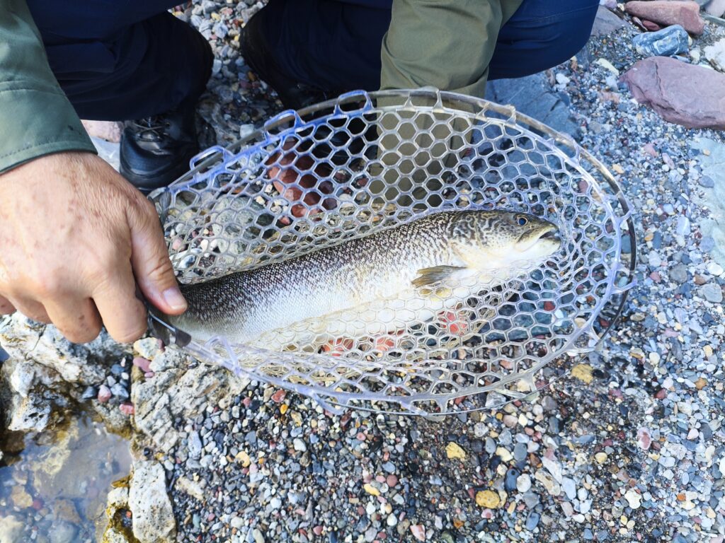 Stefano Castagna — attività di guida di pesca