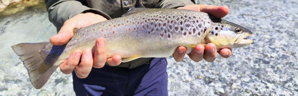 Stefano Castagna — attività di guida di pesca