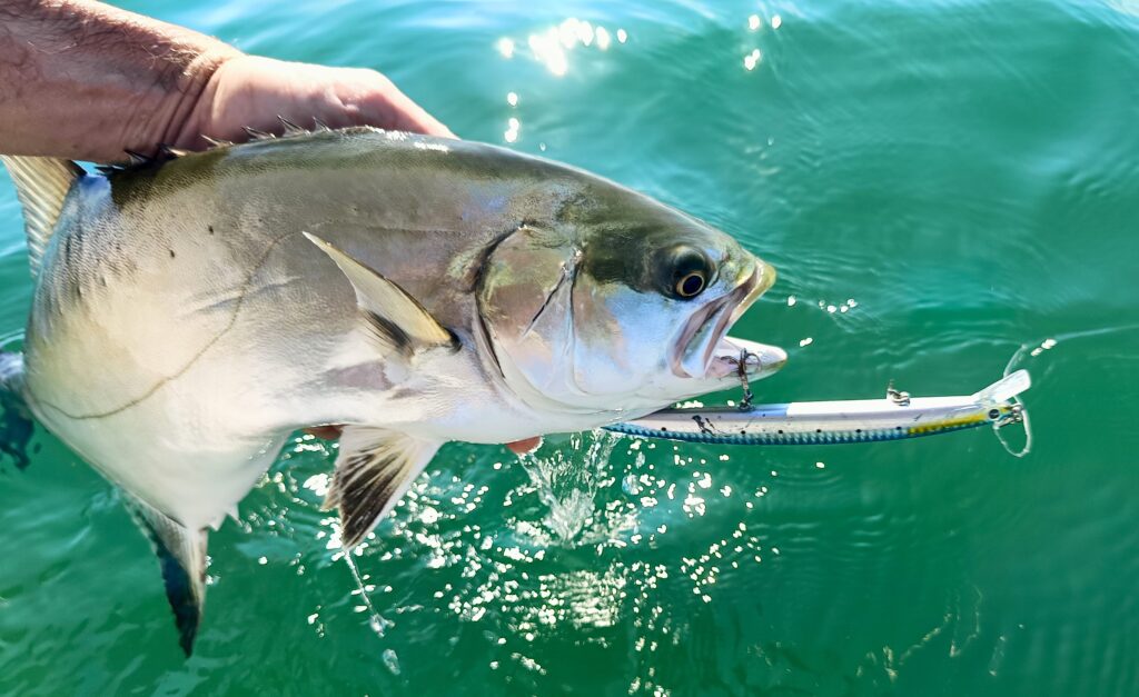 SABELE FIOROT — attività di guida di pesca