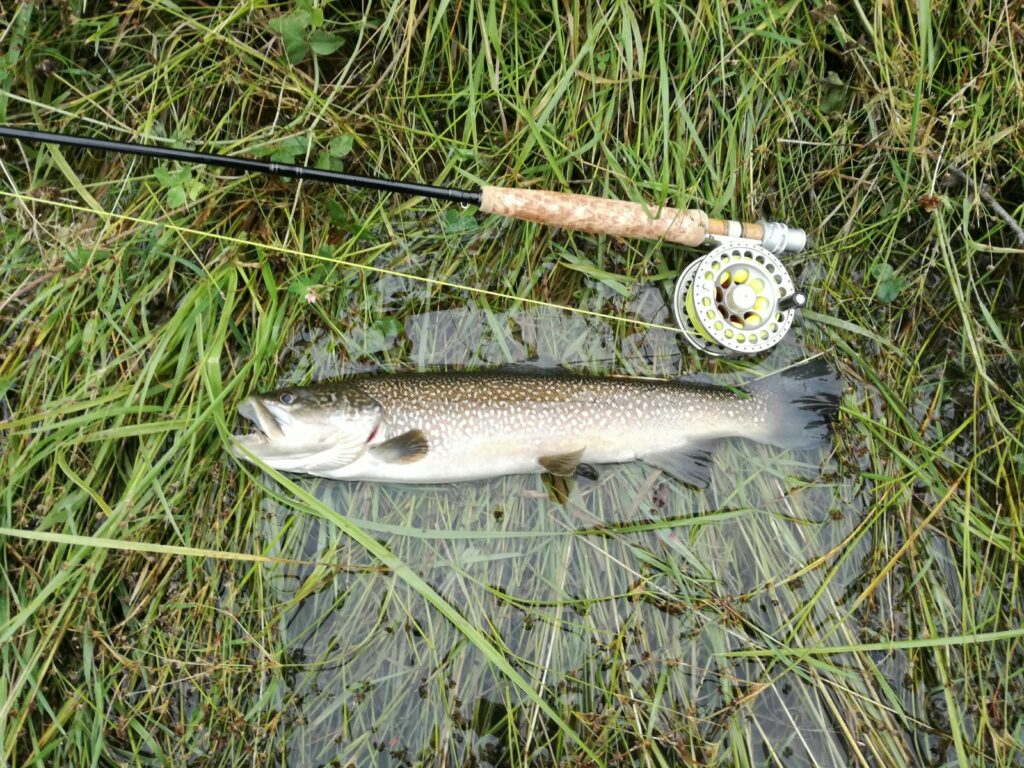 Stefano Castagna — attività di guida di pesca
