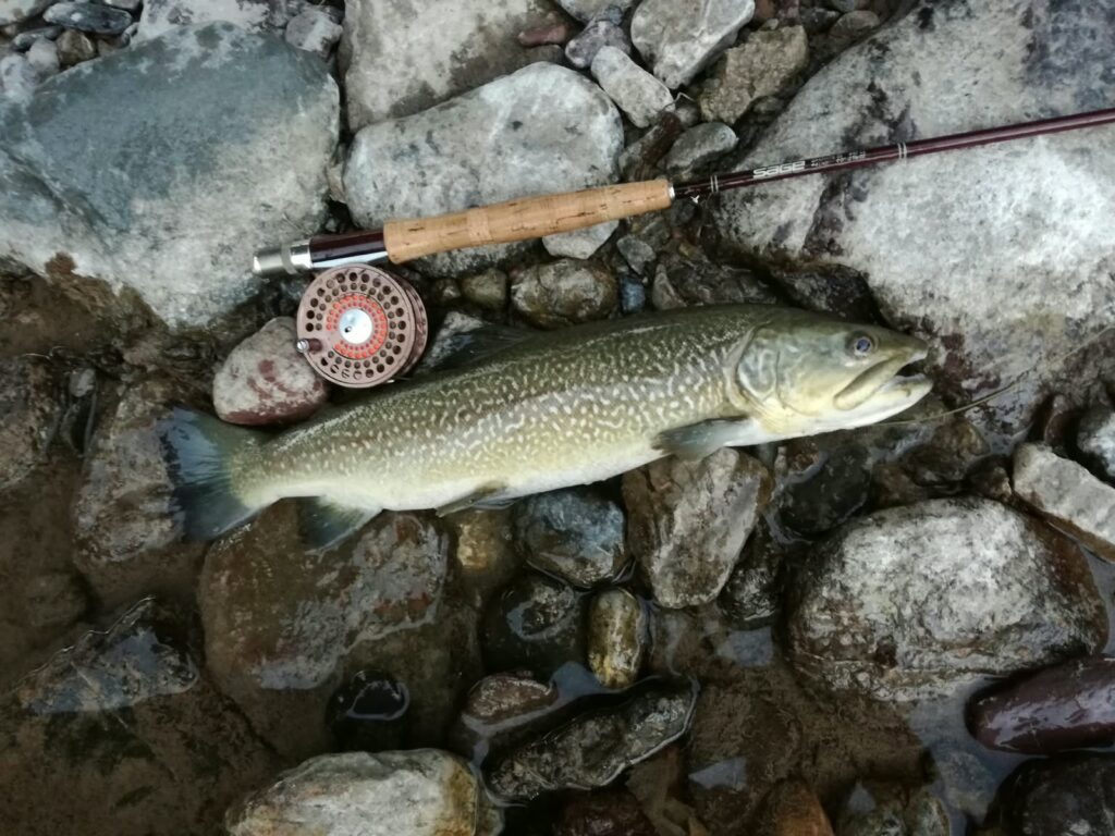 Stefano Castagna — attività di guida di pesca