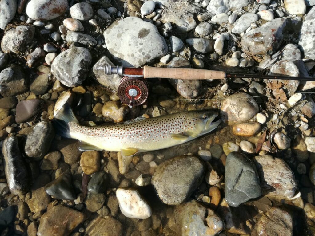 Stefano Castagna — attività di guida di pesca