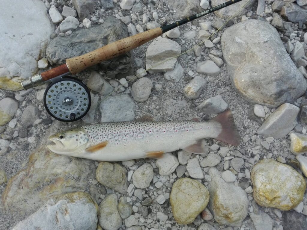 Stefano Castagna — attività di guida di pesca