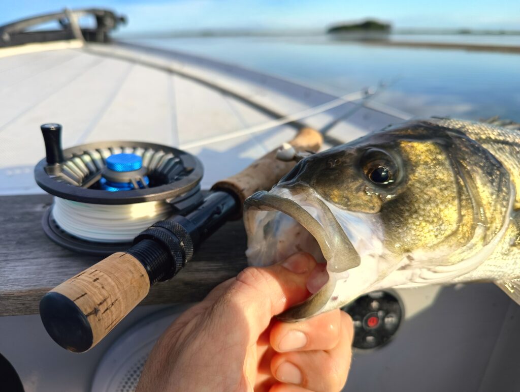 SABELE FIOROT — attività di guida di pesca