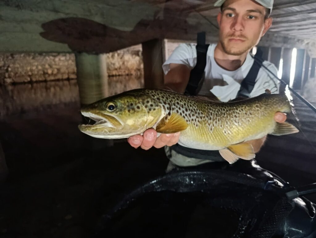 Samuel Favero — attività di guida di pesca