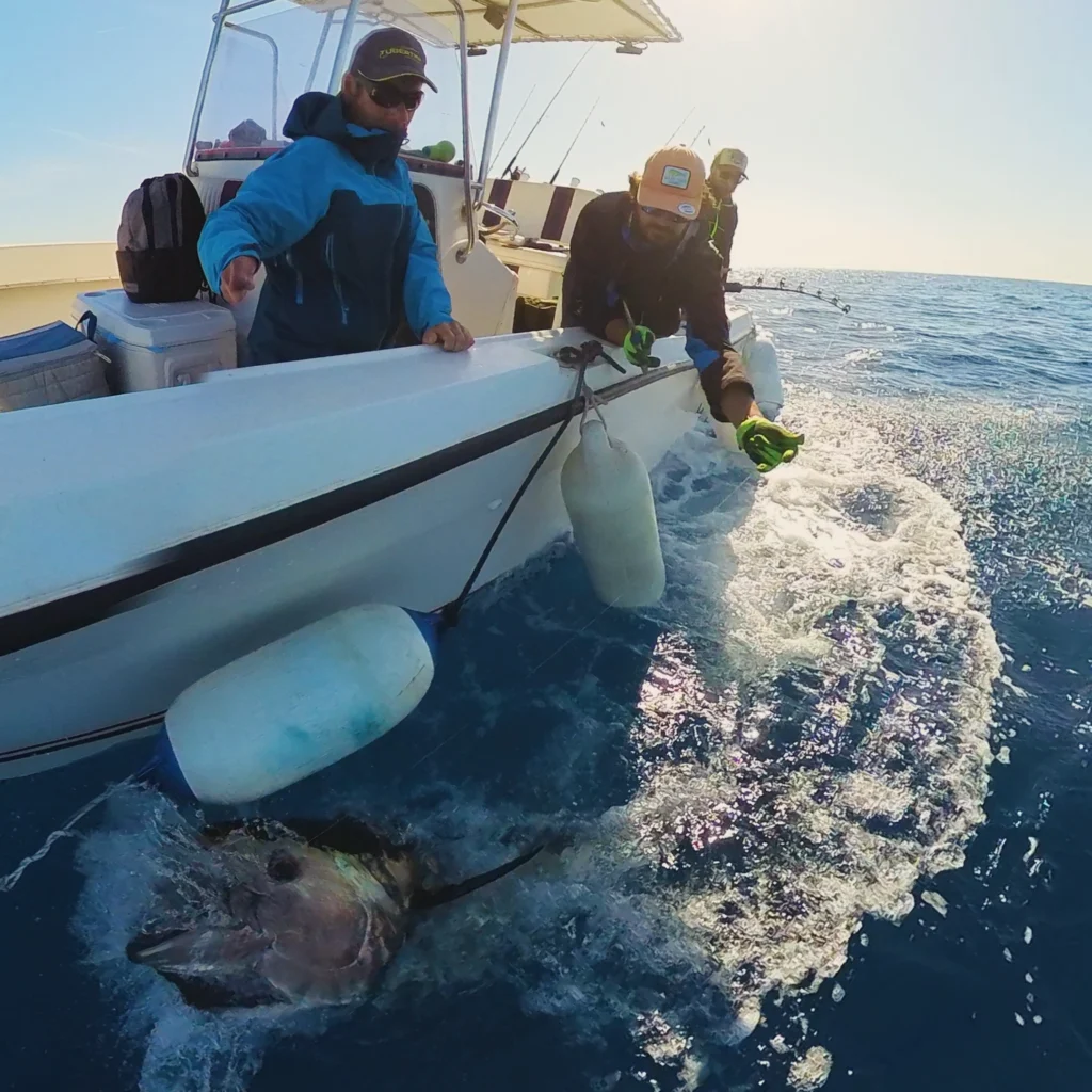 Davide Giannitelli — attività di guida di pesca