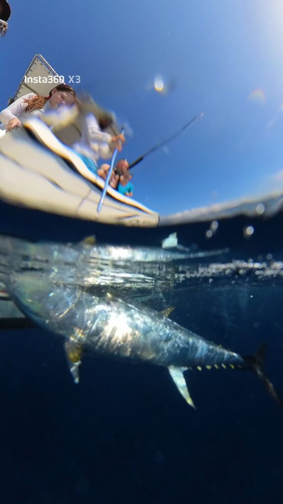 Davide Giannitelli — attività di guida di pesca