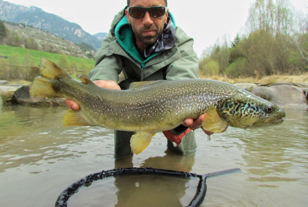 Nithai Bertagnolli — attività di guida di pesca
