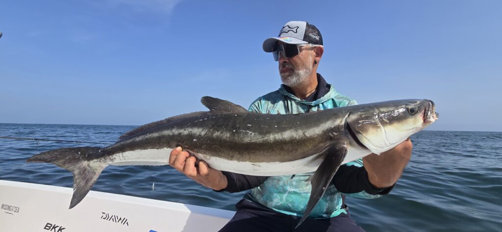 Vito Rubino — attività di guida di pesca