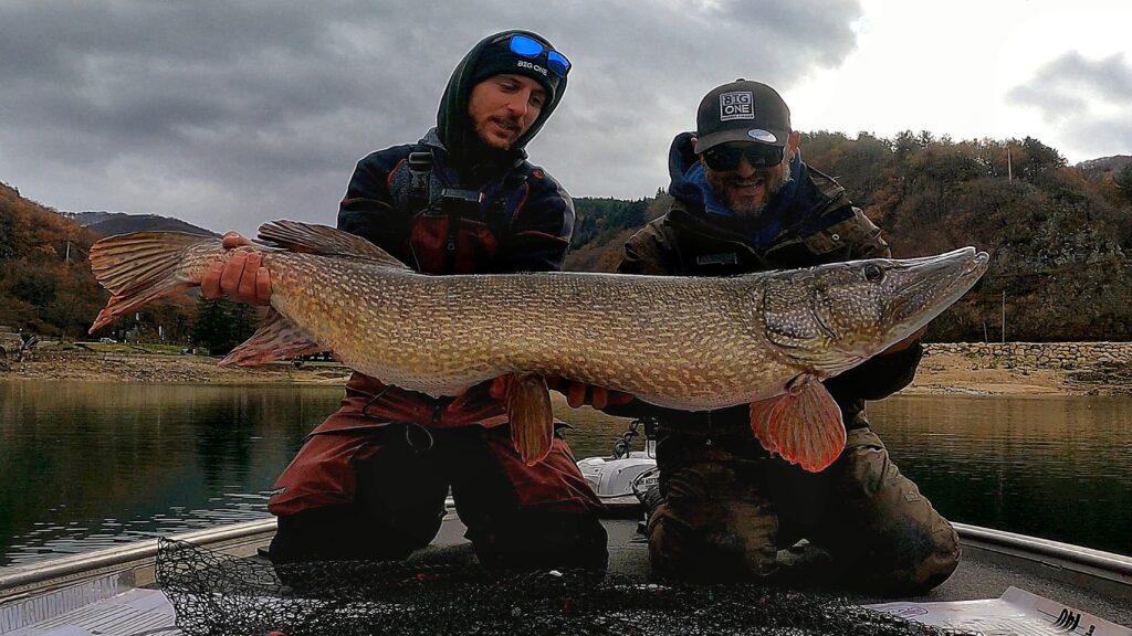 Adriano Marini — attività di guida di pesca