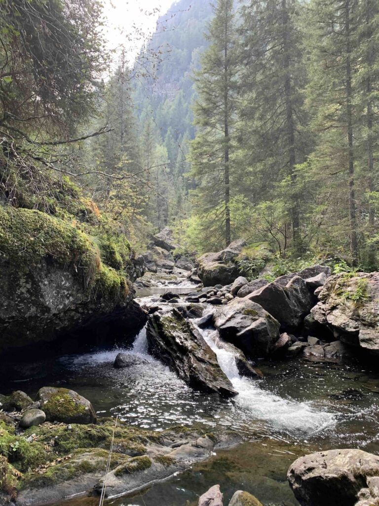Francesco Calcagni — attività di guida di pesca