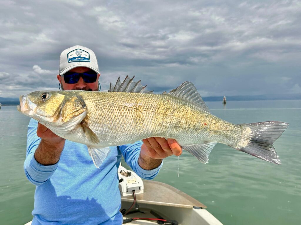 Alessandro Galletti — attività di guida di pesca