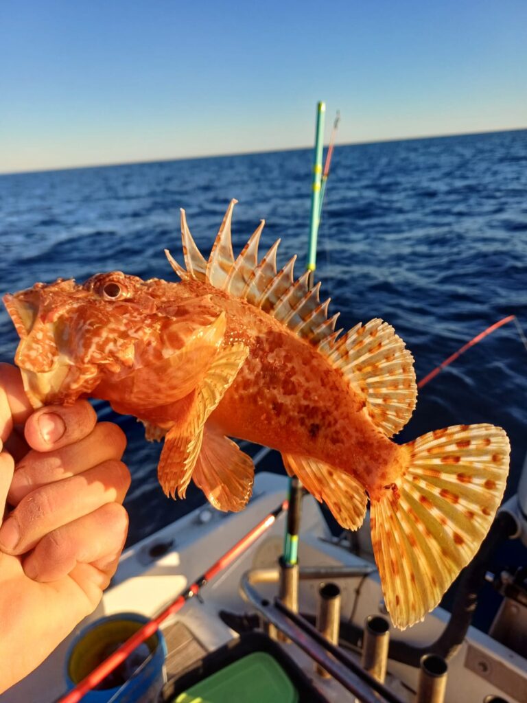 Matteo Capuani — attività di guida di pesca