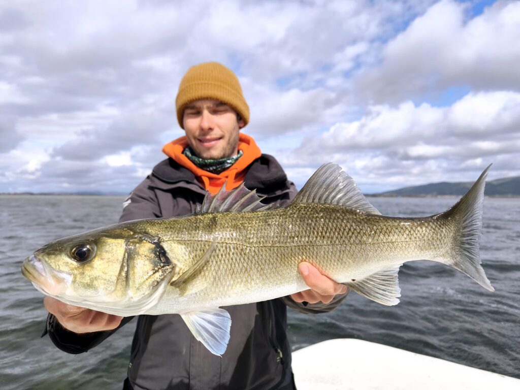 Vito Rubino — attività di guida di pesca