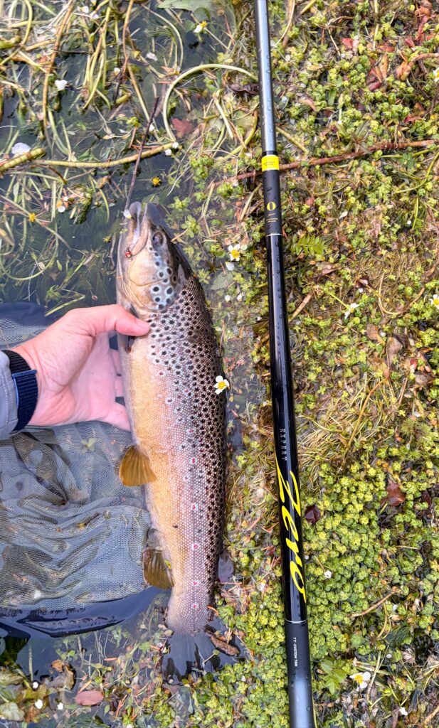 Andrea Crobu — attività di guida di pesca