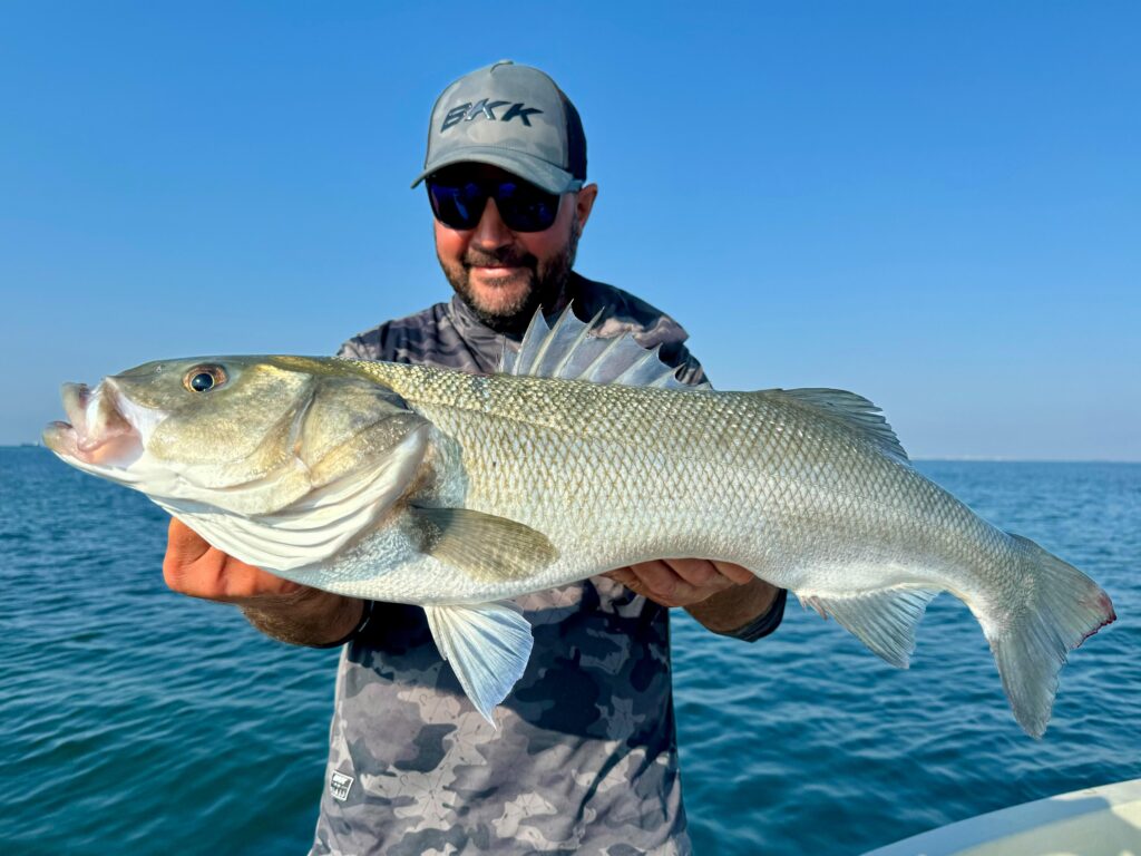 Alessandro Galletti — attività di guida di pesca
