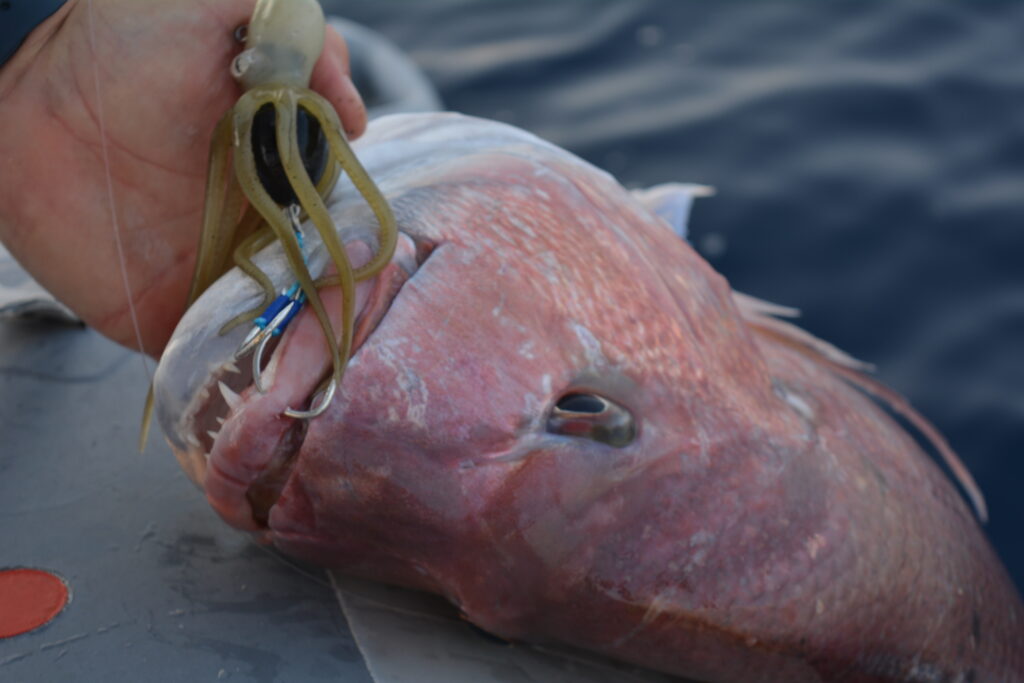 Gaetano (Toni) Garro — attività di guida di pesca