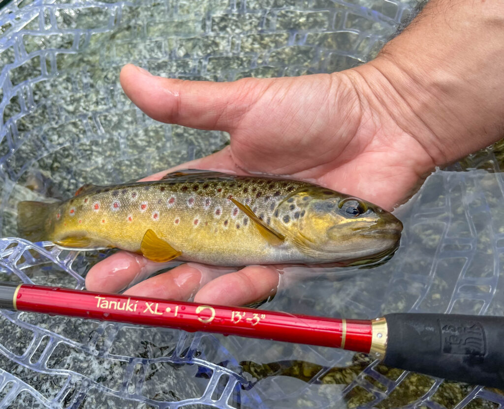 Guido Scala — attività di guida di pesca