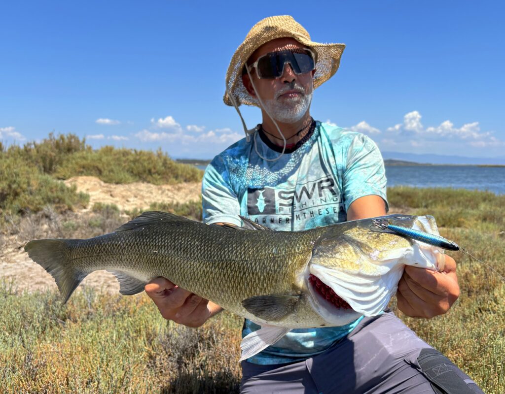 Vito Rubino — attività di guida di pesca