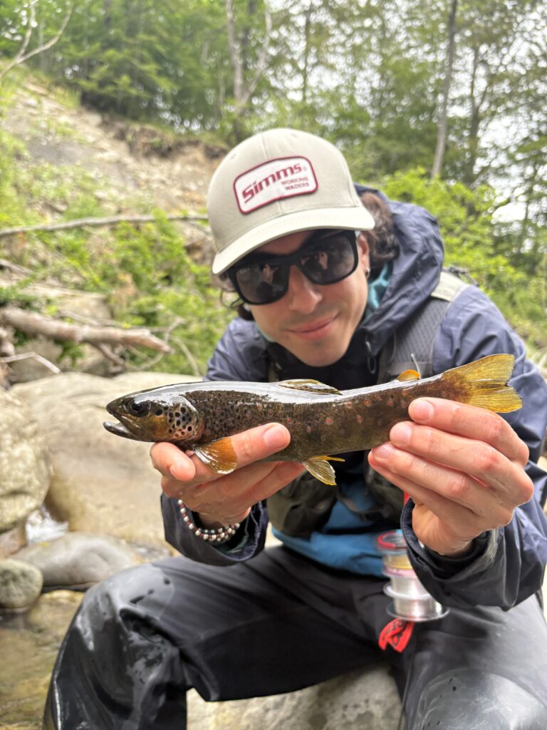 EMANUELE ALBERINI — attività di guida di pesca