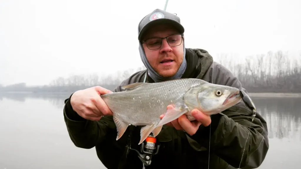 Umberto Romanini — attività di guida di pesca