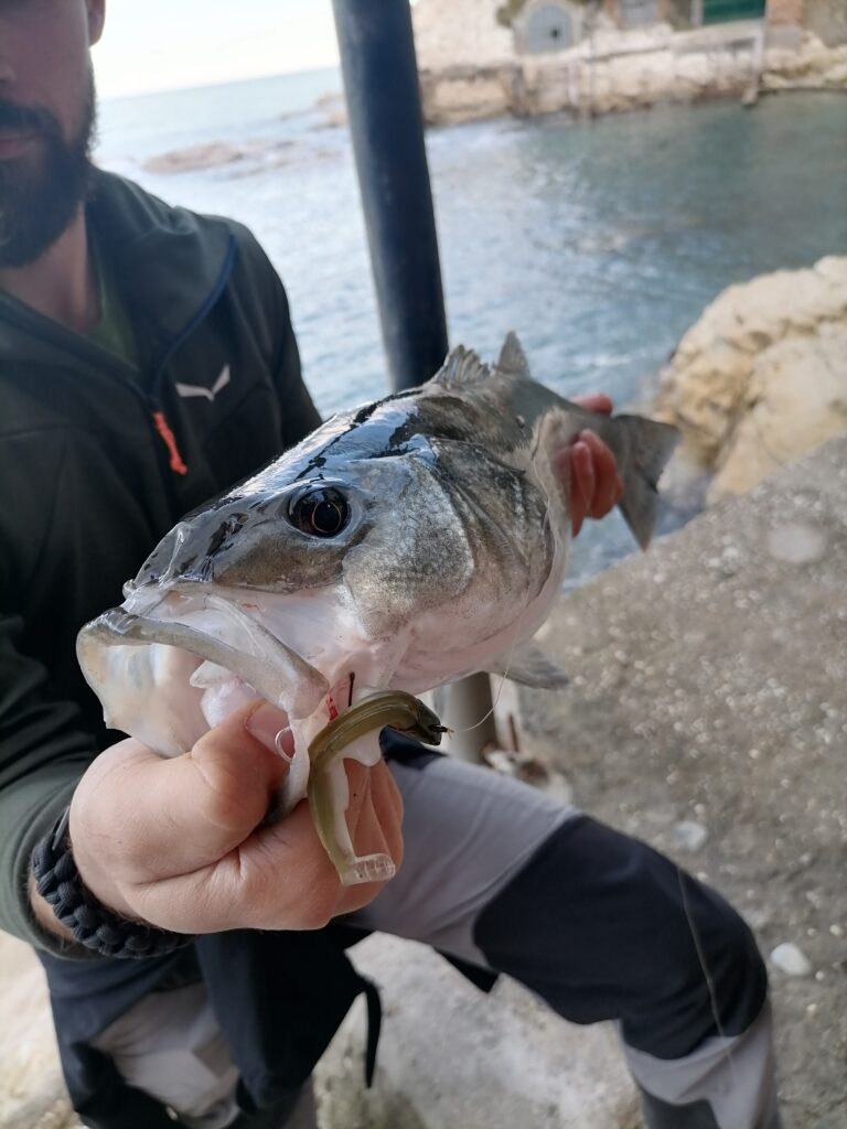 Michele Ceccati — attività di guida di pesca