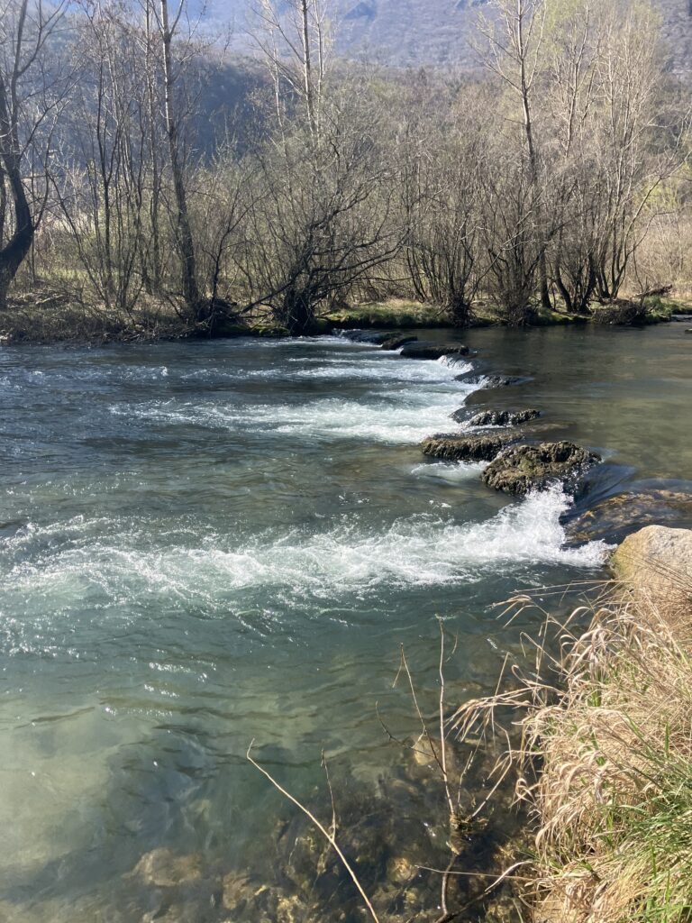 Andrea Carando — attività di guida di pesca
