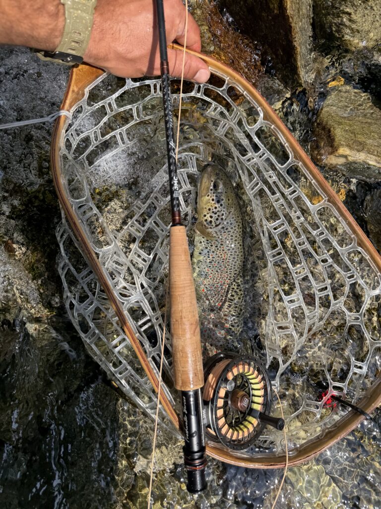 Francesco Formignani — attività di guida di pesca