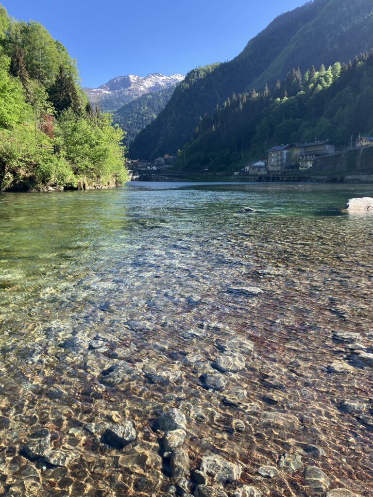 Andrea Carando — attività di guida di pesca