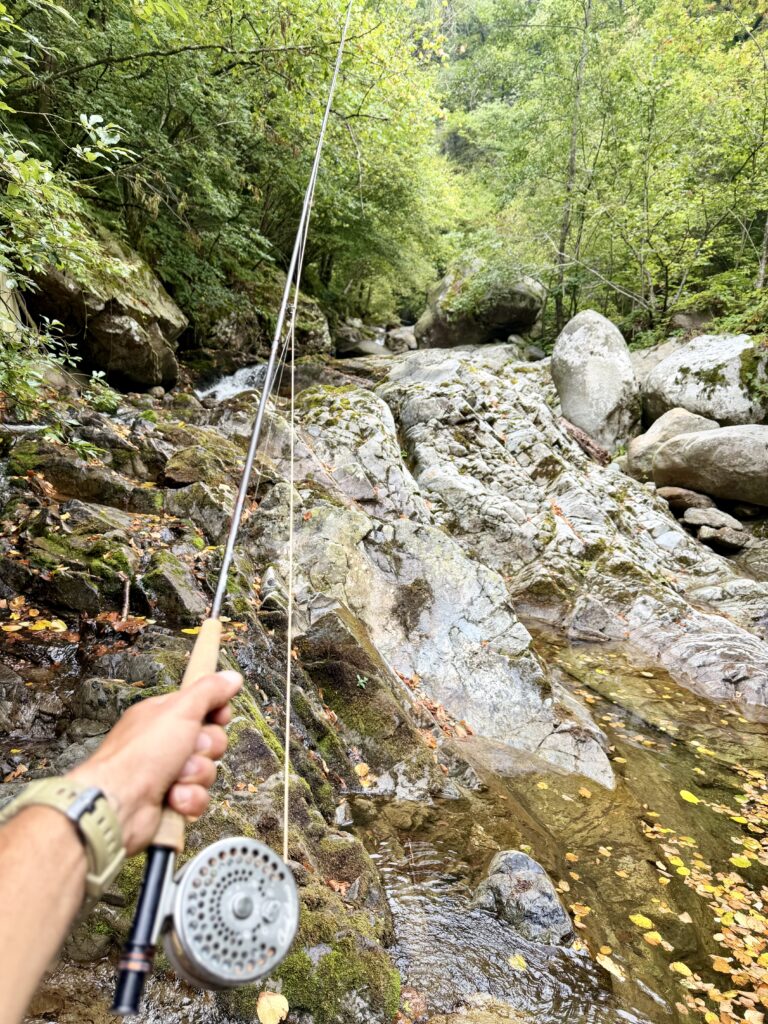 Francesco Formignani — attività di guida di pesca