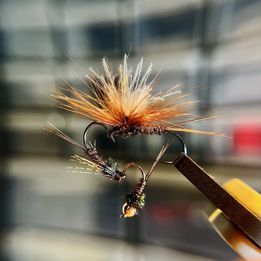 Michele Mitch Cugini [Frösta Fly Fishing] — attività di guida di pesca