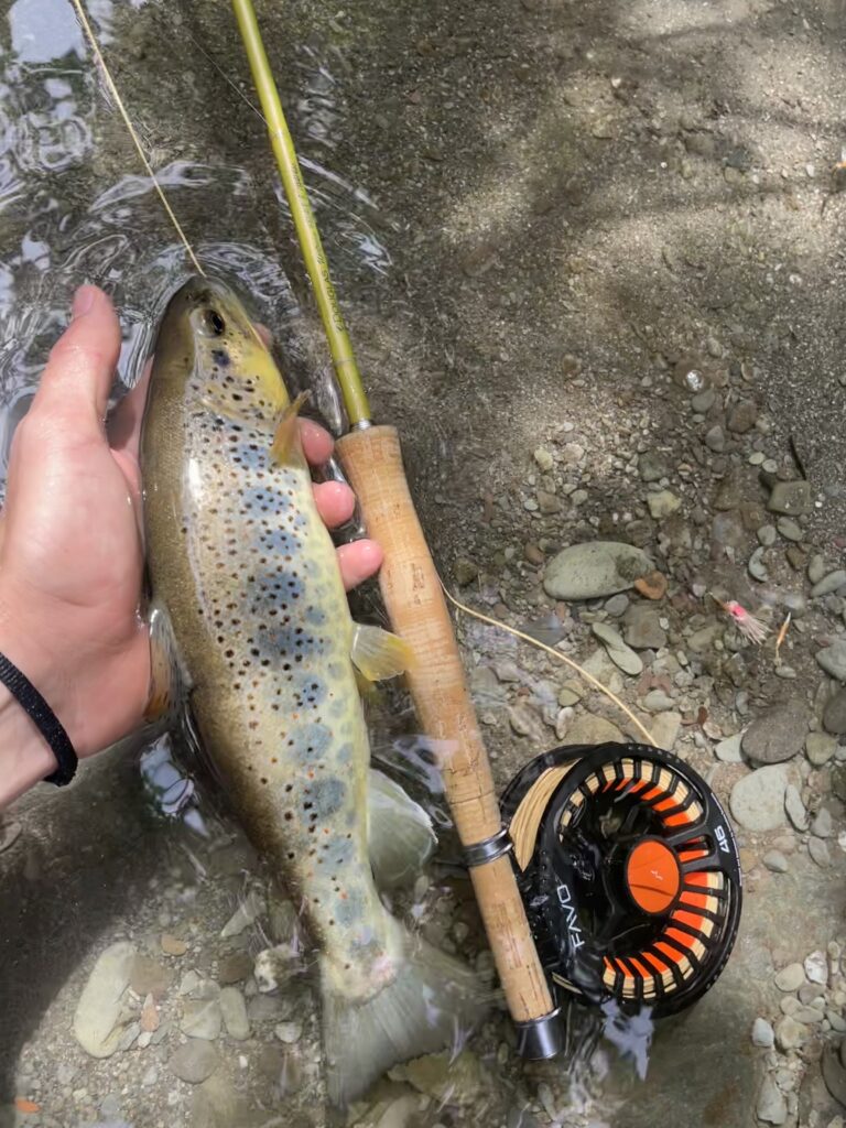 EMANUELE ALBERINI — attività di guida di pesca