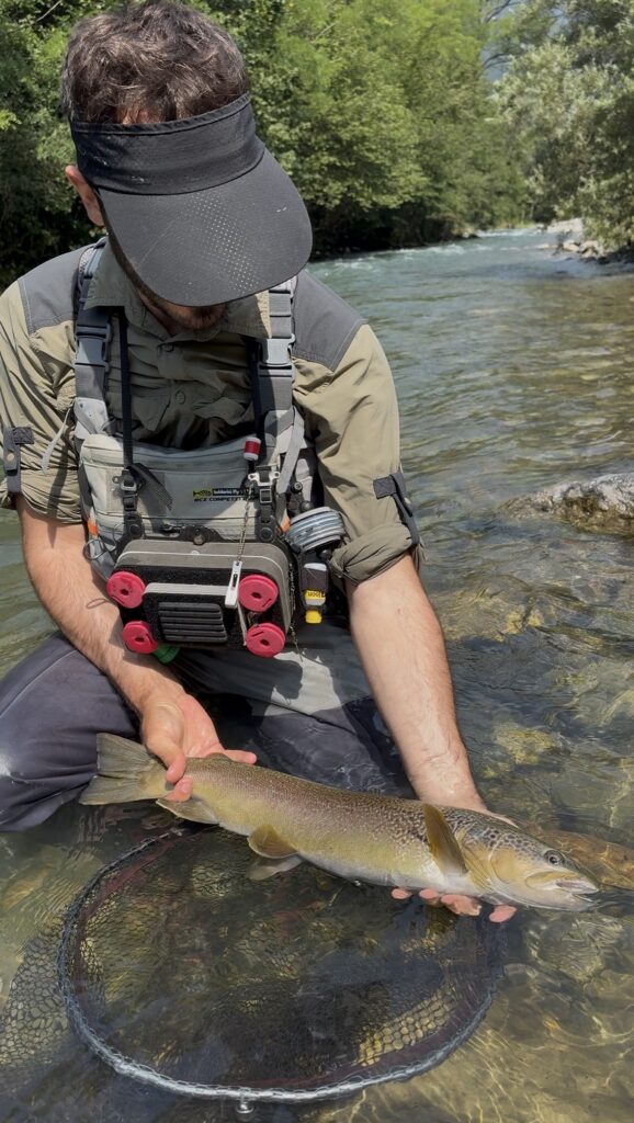 DENNIS ALBERTI — attività di guida di pesca
