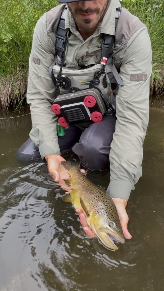 DENNIS ALBERTI — attività di guida di pesca