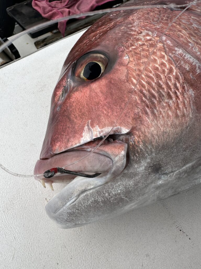 Gaetano (Toni) Garro — attività di guida di pesca