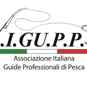 Prima rata Corso 2026/1